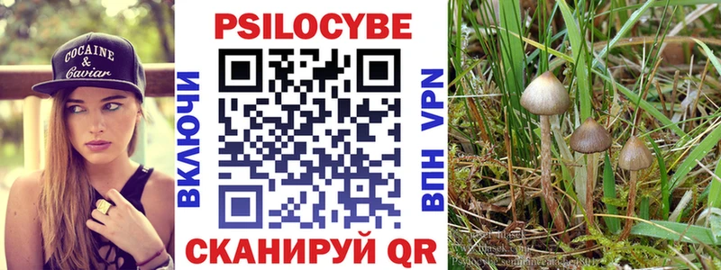 где купить   Майский  Галлюциногенные грибы прущие грибы 